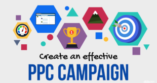 PPC Campaign Case Studies